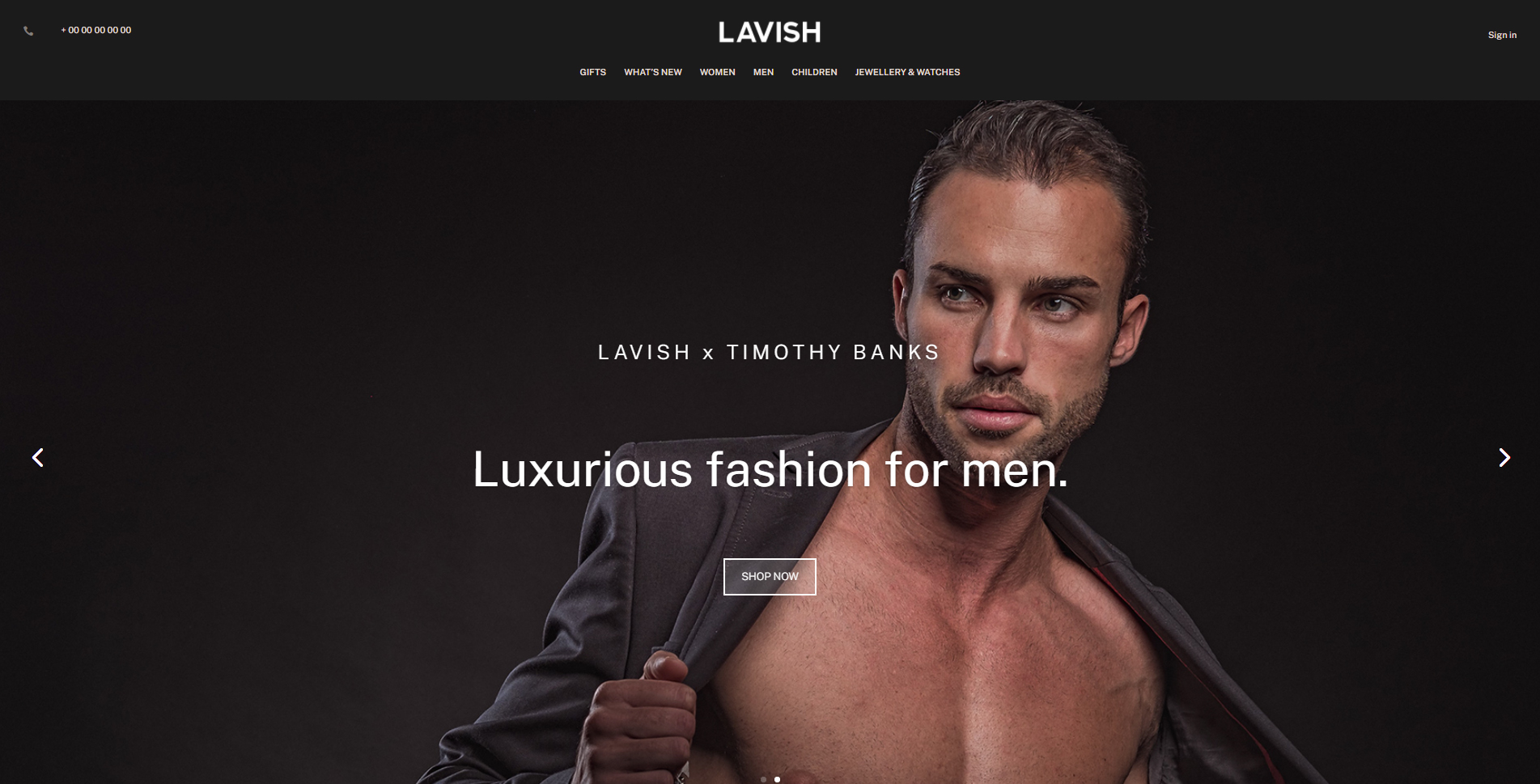 Lavish_Website